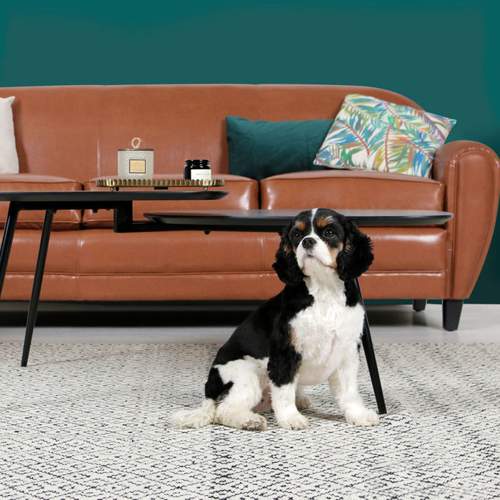 achat canape marron camel 3 places