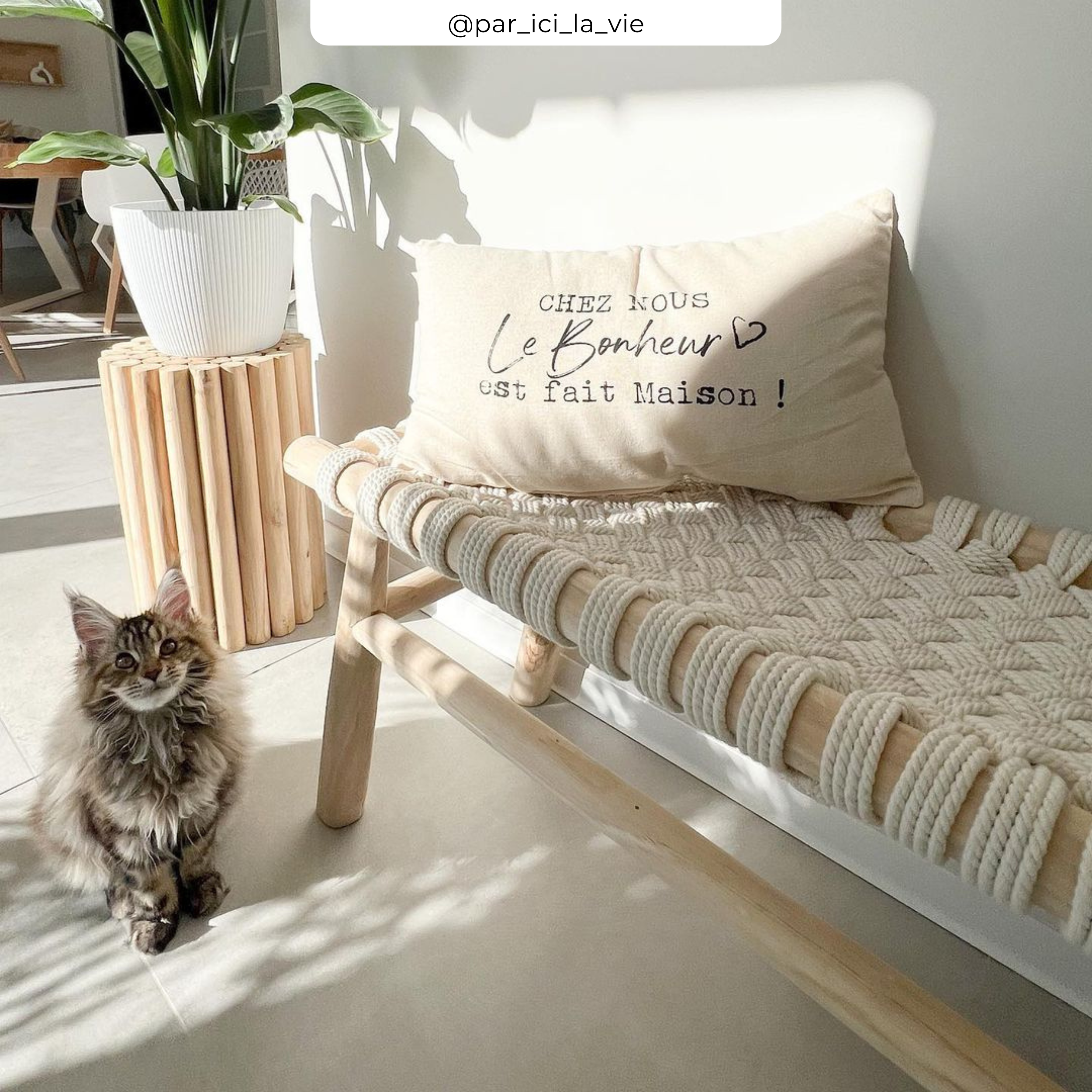 acheter banc kira ugc