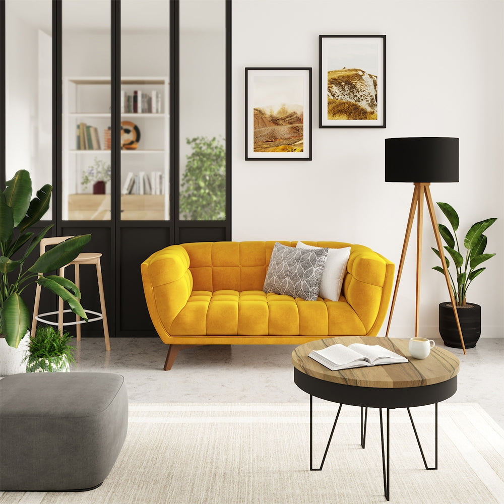 acheter canape 2 places jaune velours