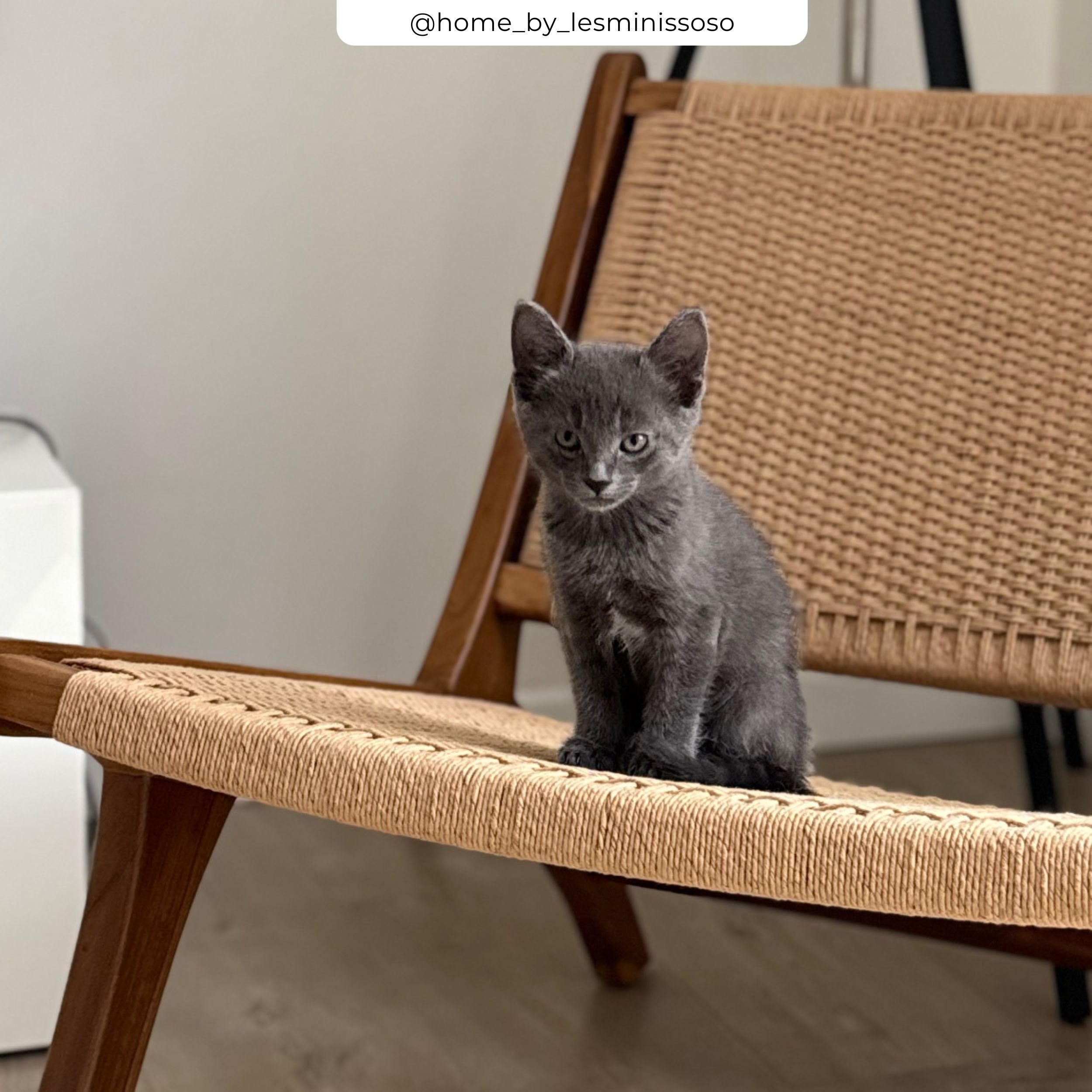 Fauteuil Kilka en teck et cordage en loom
