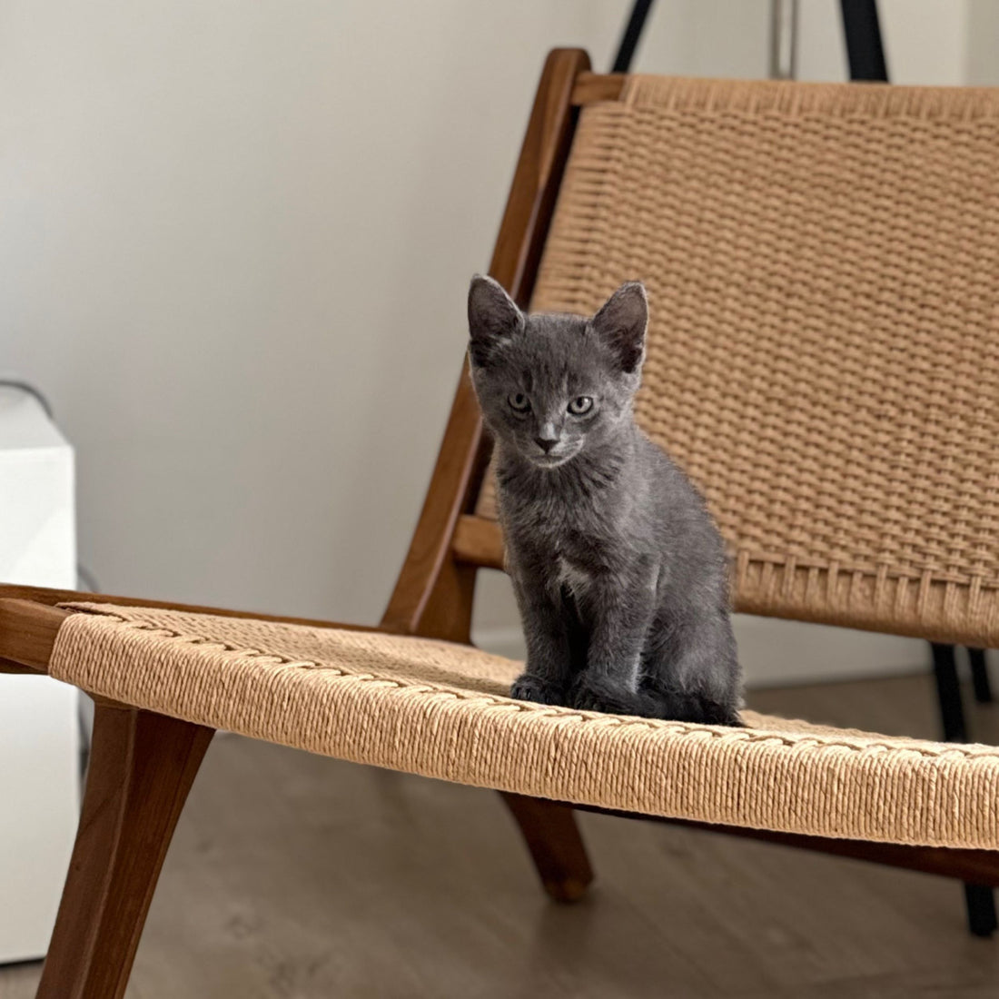 @home_by_lesminissoso