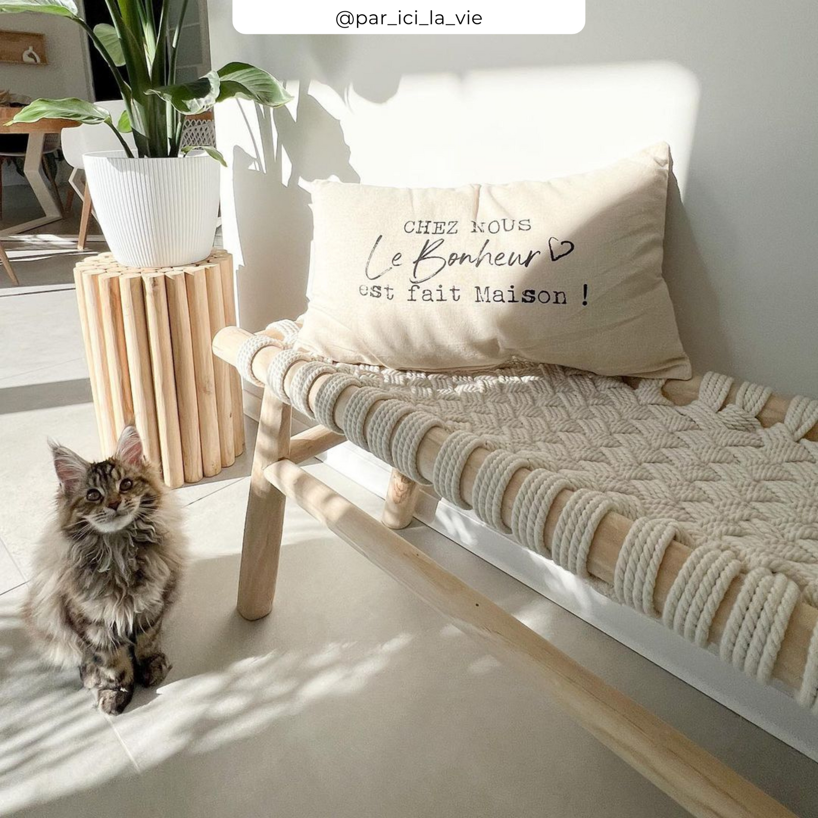 acheter banc kira ugc