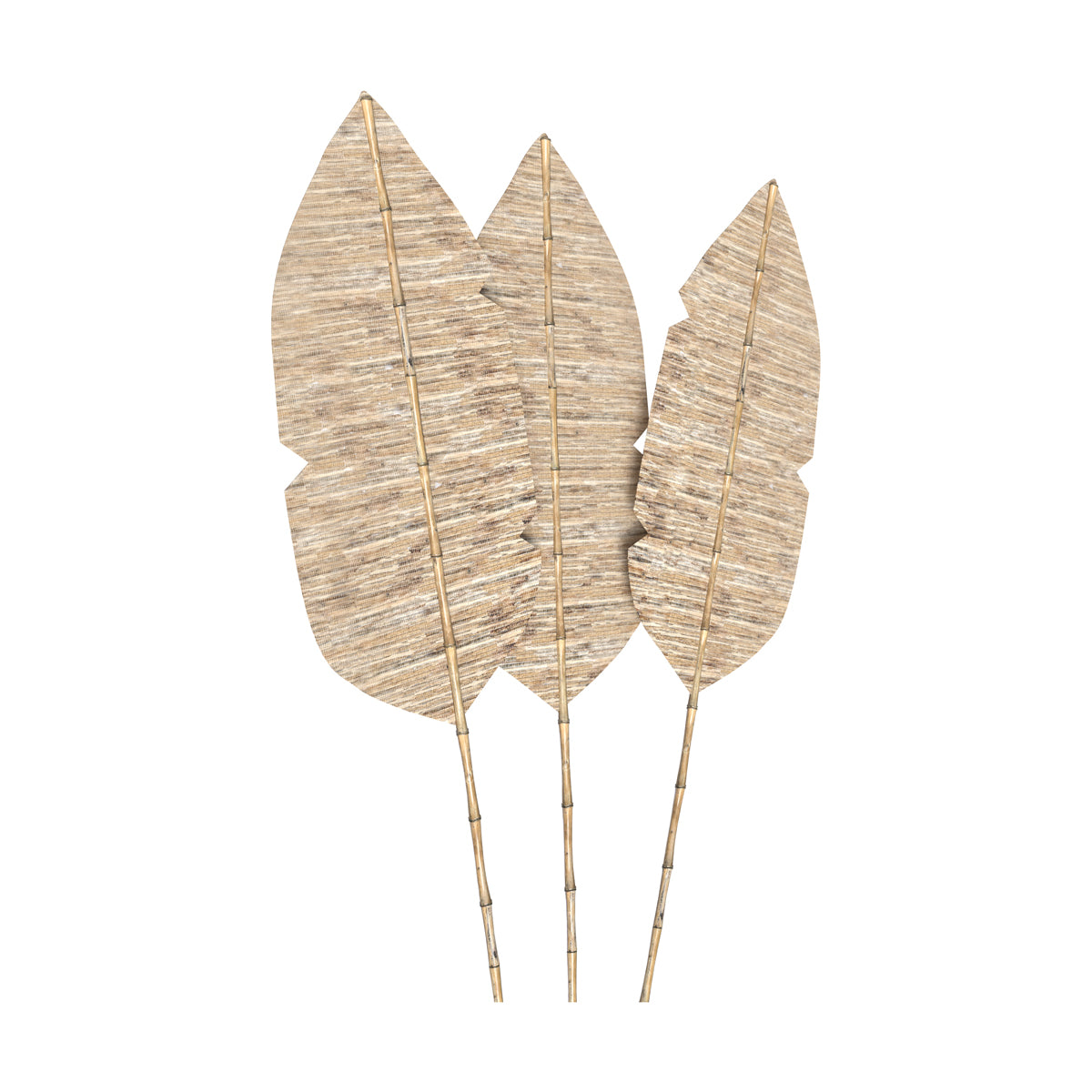 palme lot de 3 major