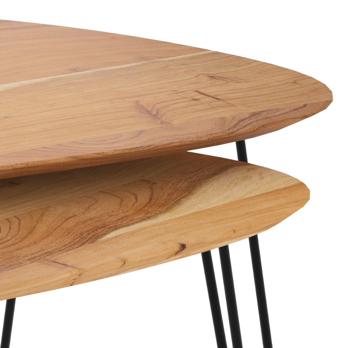 table basse en bois et pieds en metal lot de 2 kiwi