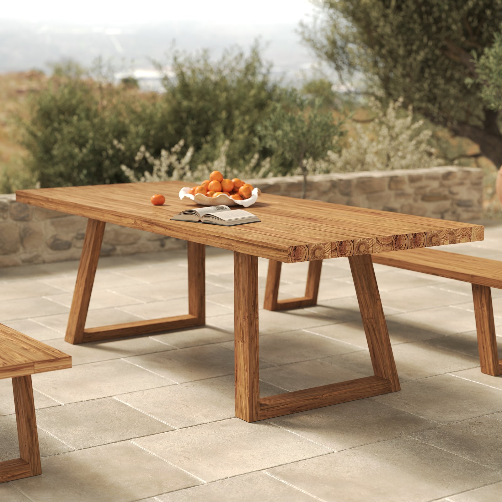 table exterieur 10 places bois de teck