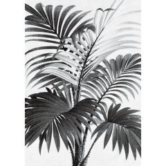 acheter tableau en verre palmier 50 x 70